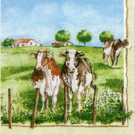 Serviette AMBIENTE (33 x 33 cm) - Country side