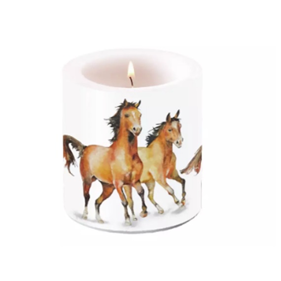 Bougie AMBIENTE PM - Wild Horses