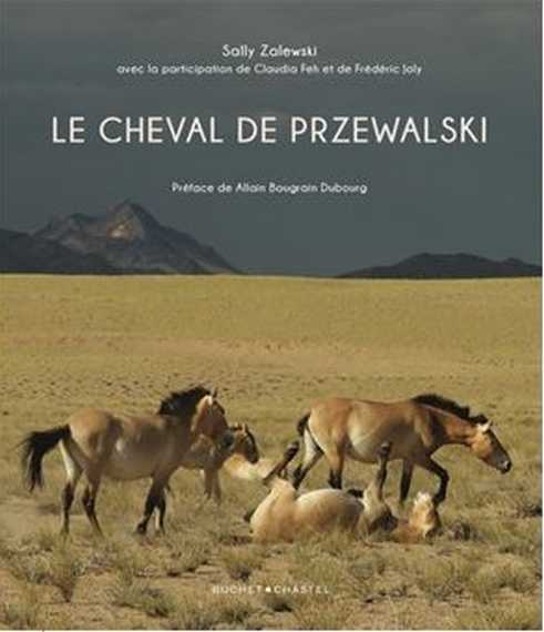 Le cheval de Przewalski - Cliquez sur l'image pour la fermer