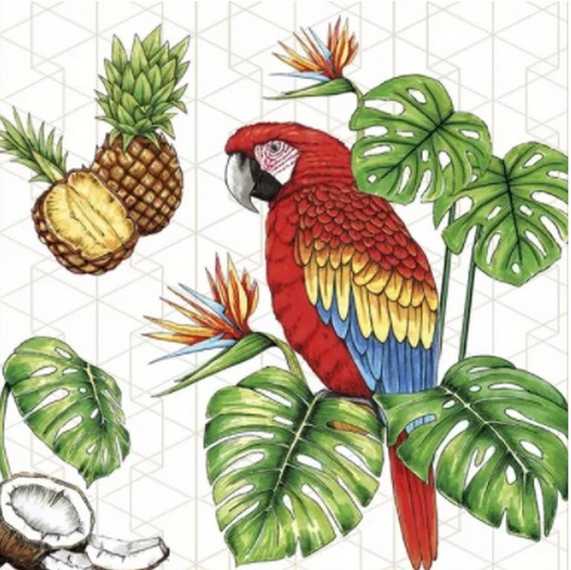 Serviette DAISY (33 x 33 cm) - Parrots with Tropical motifs