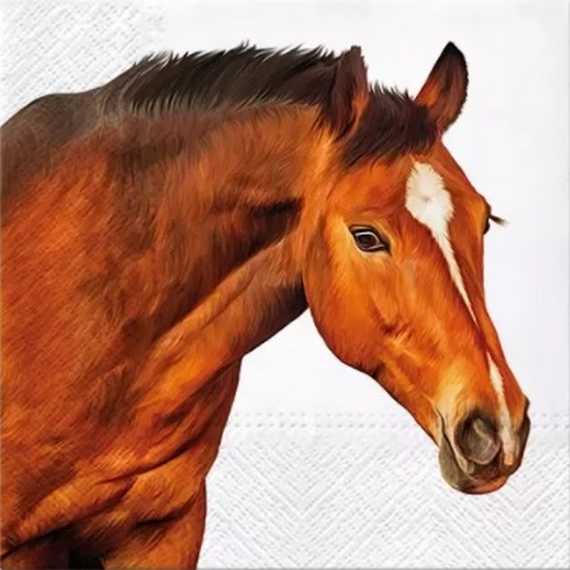 Serviette PAW (33 x 33 cm) - Horse Head - Cliquez sur l'image pour la fermer
